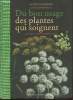 Du bon usage des plantes qui soignent. Fleurentin Jacques