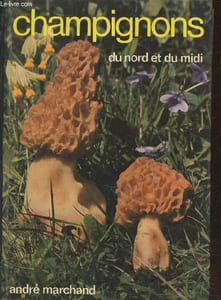 Champignons du Nord et du Midi Tome 2 : Les meilleurs comestibles - 327 espèces citées ou décrites