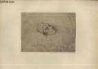 "Portrait de Meyerbeer sur son lit de mort - Ecole Française XIX siècle - Planche extraite de l'ouvrage ""Musée du Cabinet des Estampes : ...