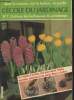 L'école du jardinage n°7 : Cultivez les bulbeuses du printemps - De l'oignon à la fleur, tout pour réussir tulipes, narcissses, jacinthes et les ...