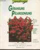 "Géraniums Pélargoniums (Collection ""Jardinage"")". Riedmiller Andreas