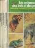 "Lot de 6 livres ""La vie privée des animaux"" : Les animaux des bois et des prairies - Les animaux d'Afrique - Les animaux d'Amérique du Nord - Les ...