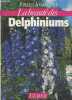 la beauté des Delphiniums. Köhlein Fritz