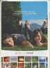 Brochure : Campings, villages vacances et hébergements de groupe 2008 - Terre et Côte Basques. Collectif