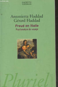 "Freud en Italie : Psychanalyse du voyage (Collection ""Pluriel Psychanalyse"")"
