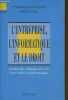 "L'entreprise, l'informatique et le droit : Gestion des relations avec les partenaires informatiques (Collection ""Entreprises"")". Féral-Schuhl ...