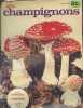 "Les champignons (Collection ""En savoir plus"" n°13)". Lionnet Nicolas