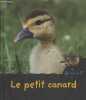 Qui es-tu ? Le petit canard. Royer Anne