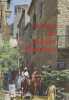 Au pays des Bastides Albigeoises - Guide touristique. Collectif