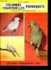 Colombes tourterelles perroquets - élevage et reproduction. R.a.robin