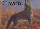 Coyote. Jacqueline Delaunay