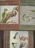 Petit atlas des oiseaux - 3 volumes : fascicule I + II + IV - passereaux + passereaux (fin), rolliers, pics, perroquets, rapaces nocturnes + ...