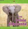 Les bébés éléphants - Collection mini monde vivant.. Kalman Bobbie