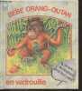 Bebe orang outan en vadrouille - Un livre ecologique pour tout petits - collection loin des villes. VITROUX MARC - PRITCHARD C.