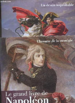 "Le grand livre de Napoleon - 2 volumes : tome 1 ""un destin improbable"" + tome 2 ""l'homme de la strategie""". DEMOUGIN JACQUES - SMITH DEREK - ...