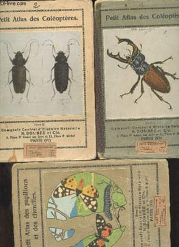Lot de 3 fascicule : Petit atlas des coleopteres tome 1 + tome 2 + Petit atlas des papillons et des chenilles tome 2. COLLECTIF