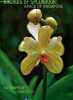 Orchids of splendour : a face of singapore. SIMON HO - SEGURA CINDY - COLLECTIF