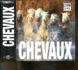 Chevaux - Cube book. Gabriele Boiselle, Paolo Manili, Henry Dallal, ...