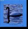 Le lac de nantua - Ain 01. COLLECTIF