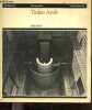 "Tadao Ando minimalisme - Collection "" Architecture Monographies "".". Ando Tadao