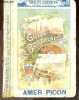 NOUVEAU GUIDE BORDELAIS DELMAS 1925 - 69e annee. COLLECTIF