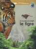 Un roi dans la jungle, le tigre - Les grands mammiferes. COLLECTIF