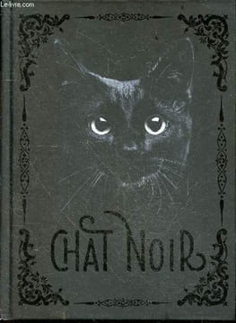 Chat Noir - chat de legendes, croyances populaires et superstitions tenaces, cabaret du chat noir, chats noirs et chat bombay, le chat noir dans l'art ...