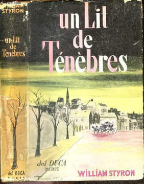 Un lit de tenebres (lie down in darkness). STYRON WILLIAM - ARNAUD MICHEL (traduction)