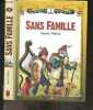 Sans Famille - bibliotheque Rouge et Or. Hector Malot, Douenat Patrice (Illustrations)