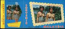 "Bonus album of Malaysia - Souvenir - 10 cartes postales - ""mail the postcard, save the miniature""- Two dayak maidens, sultan mosque singapore, ...