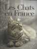 Les chats en france. Mckenna rachael