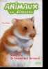 Animaux en détresse - Casper, le hamster trouvé - des 7/8 ans. Tina Nolan, Lucie Rioland, virginie cantin