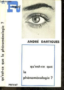 Qu'est ce que la phenomenologie ? - Collection Regard