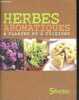 Herbes aromatiques a planter et a cuisiner. GREGOIRE ANNE- PAVOIS DIDIER- ARGENTIER BEATRICE..