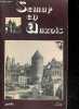 Semur en Auxois - Guide - histoire, collegiale notre dame, fete d'arquebusiers au XVIIIe siecle, orgue historique de semur en auxois. FAYARD - DUMAY ...