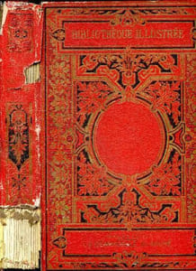 La demoiselle blanche - Bibliotheque illustrée