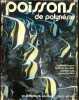 Poissons de Polynesie - Carangues, Loches & merous, Perches de mer et becs de cane, Requins & raies, Poissons chirurgiens, Perroquets & labres, ...