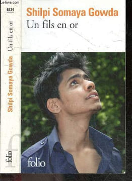 Un fils en or - roman (the golden son). Shilpi Somaya Gowda, Josette Chicheportiche (Trad)