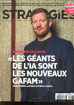 "Strategies N°2206 Fevrier 2024- Interview de Nicolas Rieul president de l'Alliance Digitale "" les geants de l'IA sont les nouveaux GAFAM"" - le CEA ...