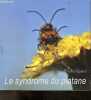 Le syndrome du platane + Envoi probable de l'auteur - Braconner l'ephemere. QUERAL MICHEL  photographe naturaliste