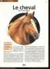 Le cheval - Petit Guide N°108. Laetitia Bataille - Fanny Ruelle