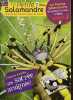 La petite Salamandre N°81, avril mai 2012- la revue des enfants curieux de nature, des 6 ans- L'epeire fasciee une sacree araignee !- lumiere sur ...