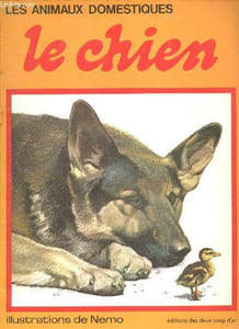 Le chien - Collection Les animaux domestiques