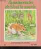 L'anniversaire de sissi la souris - Je lis tout seul mes histoires - 4 a 7 ans. SUE CAMM - RAYNAL DOMINIQUE (traduction)