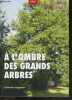 A l'ombre des grands arbres - recit. VIGNERON CATHERINE