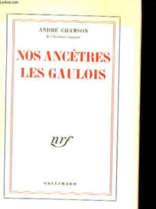 NOS ANCETRES LES GAULOIS