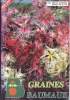 GRAINES BAUMAUX. COLLECTIF