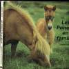 Les poneys en famille. Kalas Sybille