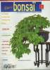 France Bonsaï n°1 - Mai 1997 : Comment installer une collection de bonsaï, Position des ranches à chacun des stles Suiseki. Sacal Michel, Kimura ...