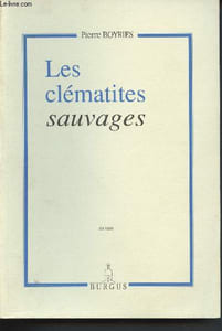 Les clématites sauvages